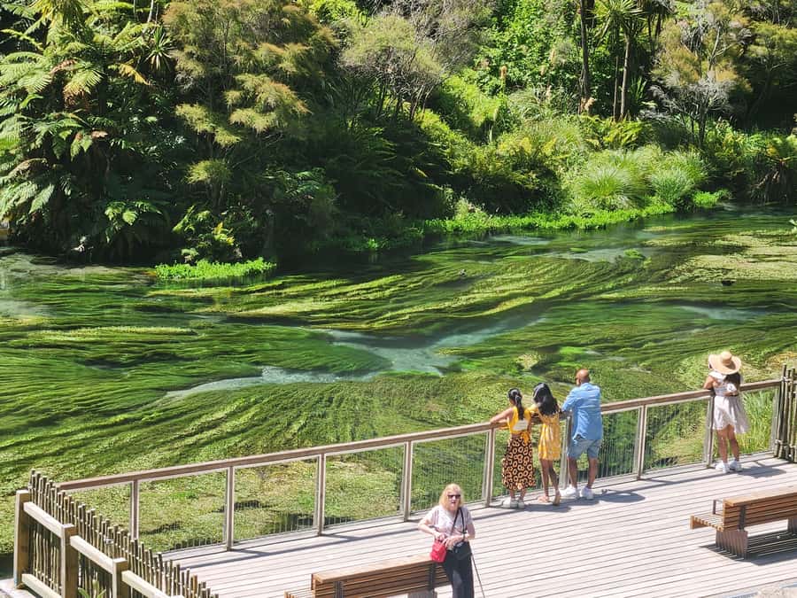 Rotorua & Taupo DayTour Waiotapu & Huka Falls from Auckland - Is $448 a fair price?