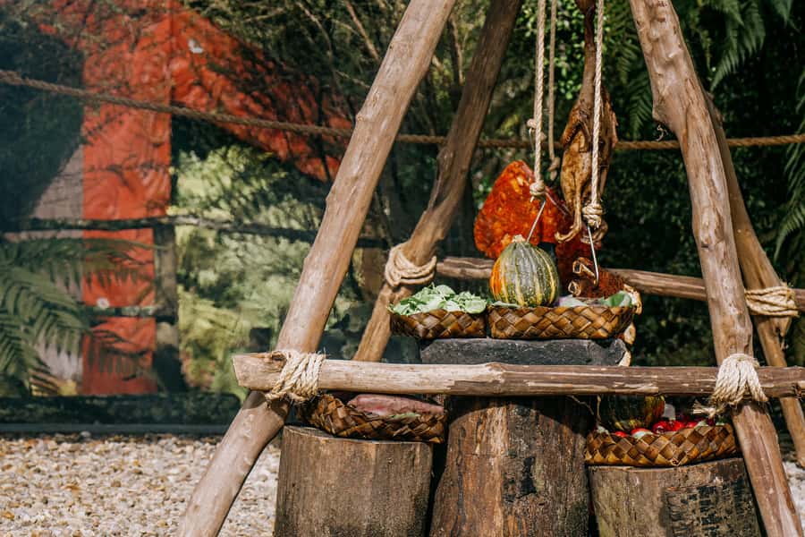 Rotorua: Te Pa Tu Māori Cultural Experience with Dinner - Key details to know before you book