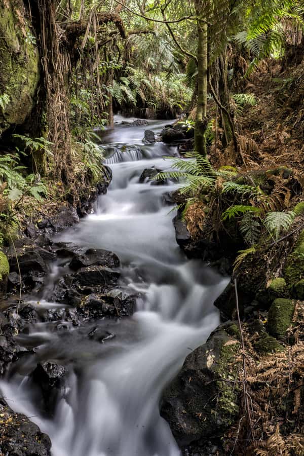 Rotorua: The Buried Village of Te Wairoa - Key Points Before You Go