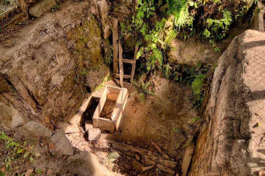 Rotorua: The Buried Village of Te Wairoa - Choose How You Want the Story Told