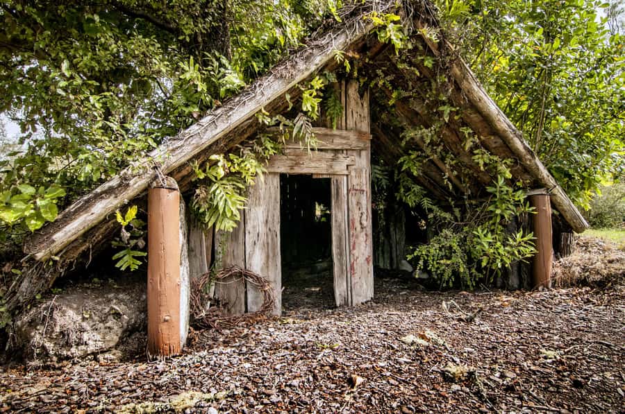 Rotorua: The Buried Village of Te Wairoa - Smith & Co Café and the Victorian Photo Stop