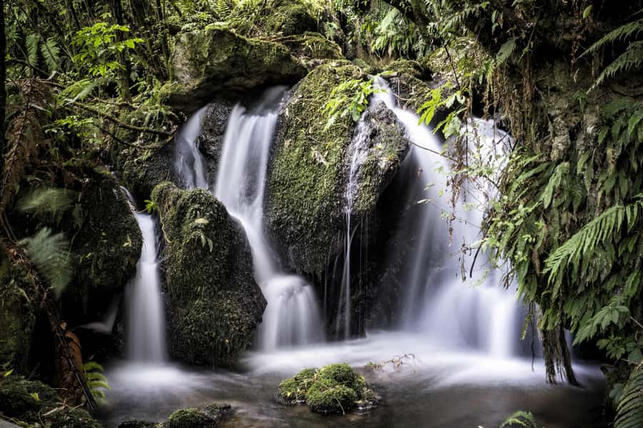 Rotorua: The Buried Village of Te Wairoa - My Verdict on the Buried Village