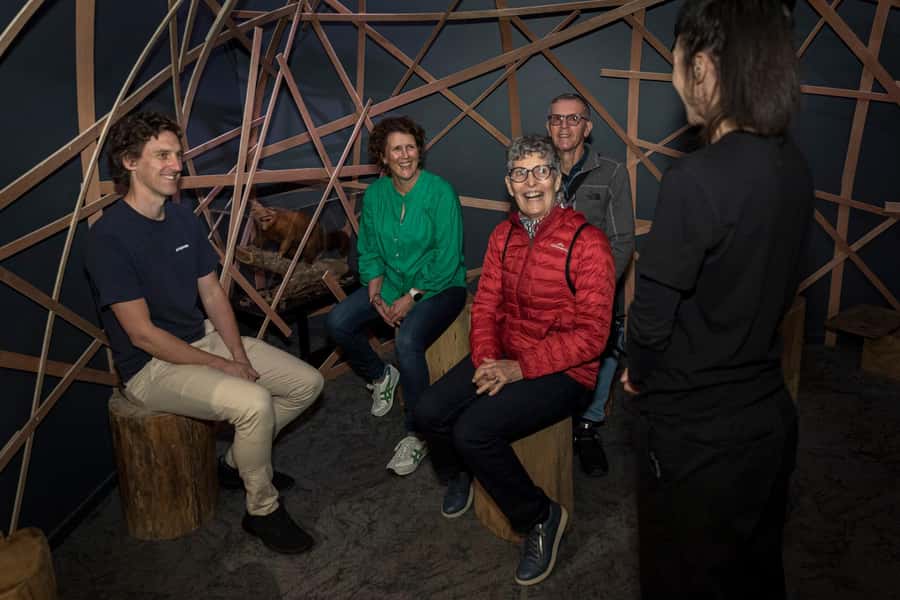 Rotorua: The National Kiwi Hatchery Kiwi Encounter Tour - Seeing adult kiwi in the Nocturnal House