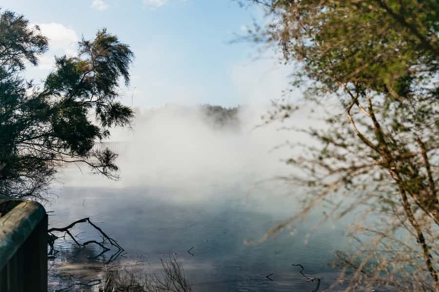 Rotorua: 'Thermal Path Tour' Geothermal half day Tour - The huge mud pool keeps moving