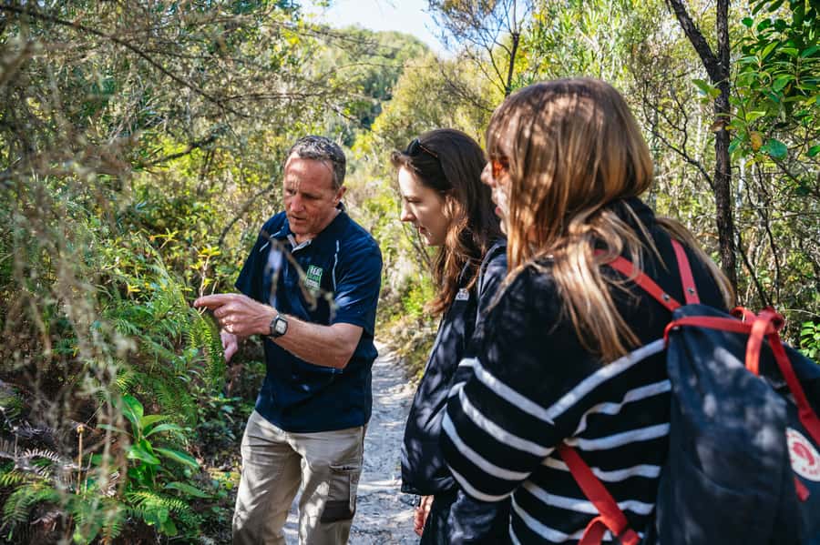 Rotorua: 'Thermal Path Tour' Geothermal half day Tour - Waikite Valley is the reward at the end