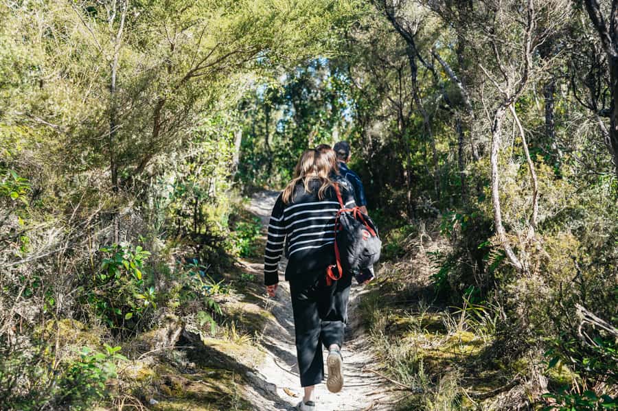 Rotorua: 'Thermal Path Tour' Geothermal half day Tour - What the guide adds to the experience