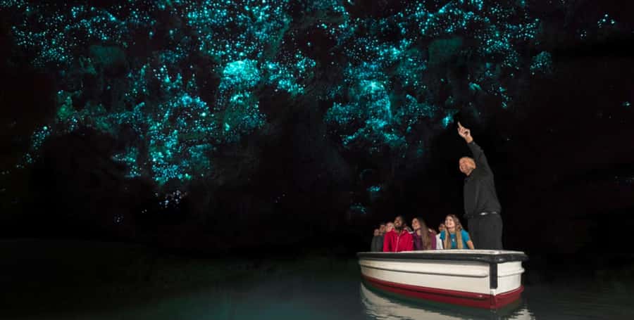 Rotorua to Auckland - Afternoon Transfer with Waitomo Caves - Why this transfer is smarter than a plain road trip