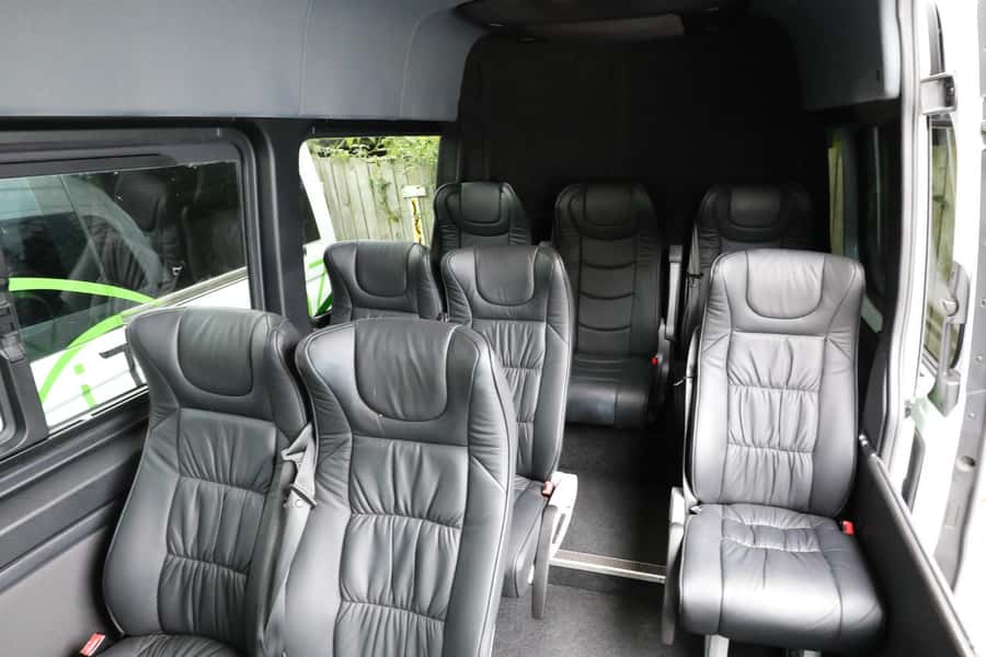 Rotorua to Auckland - Afternoon Transfer with Waitomo Caves - Pickup in Rotorua and the small-group ride