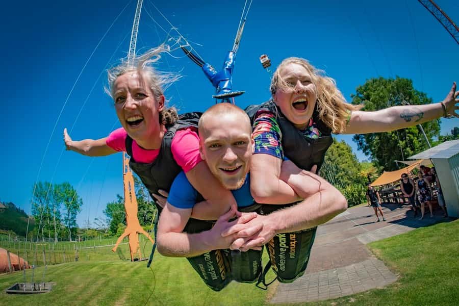Rotorua: Velocity Valley - One Ride Pass - Shweeb Racer: a leg-powered race above the track