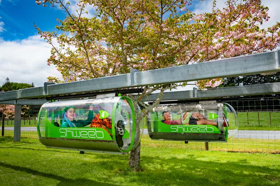 Rotorua: Velocity Valley - Two Ride Pass - Picking Freefall Xtreme for a pure adrenaline hit