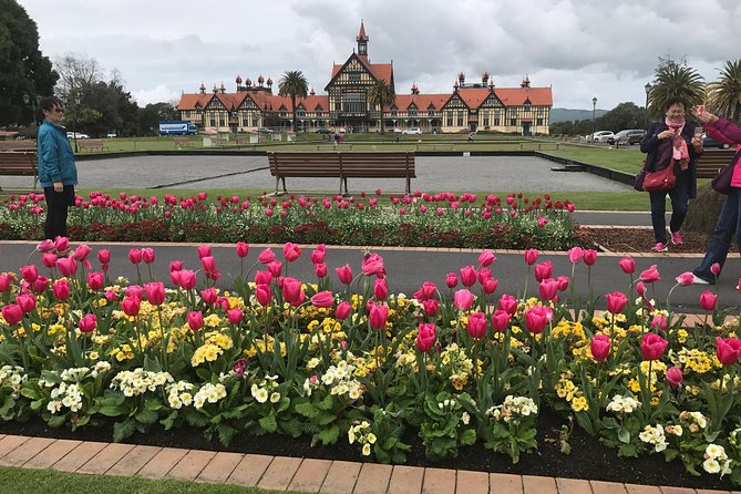 Rotorua via Kiwi/lakes country & a visit to iconic Whakarewarewa - Whakarewarewa joins Māori culture with geothermal heat