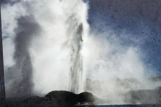 Rotorua via Kiwi/lakes country & a visit to iconic Whakarewarewa - Lunch beside Lake Rotorua is on your own