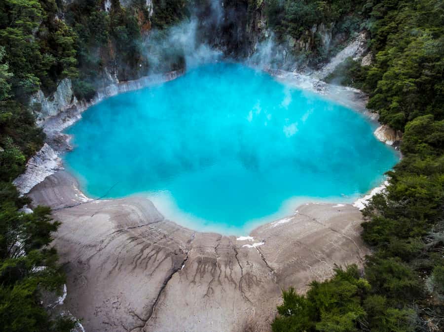 Rotorua: Waimangu Volcanic Valley Entry Ticket - Five details worth knowing before you go