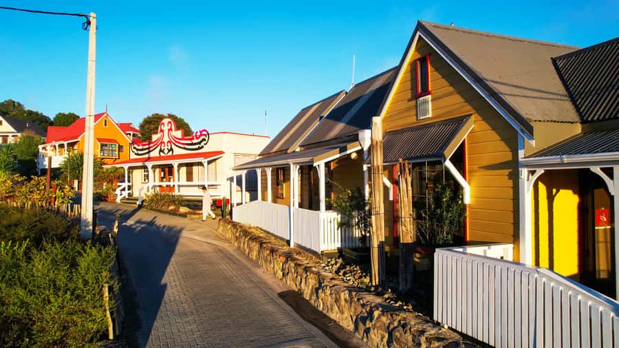 Rotorua: Whakarewarewa Village Guided Tour - Seeing the village through geothermal heat