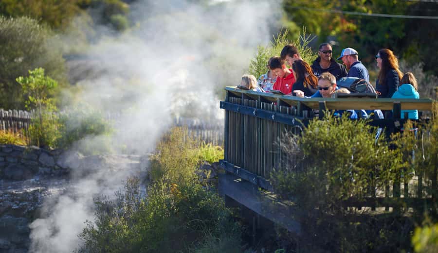 Rotorua: Whakarewarewa Village Guided Tour - What the one-hour format includes, and what it leaves out