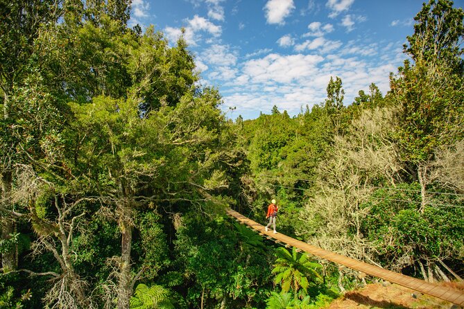 Rotorua Ziplines - Okere Falls Experience - Swing bridges, boardwalks, and the forest route