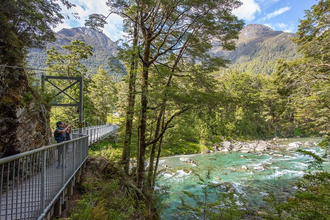 Routeburn Track Guided Hike (Full Day) - Why this Routeburn day hike is worth your time