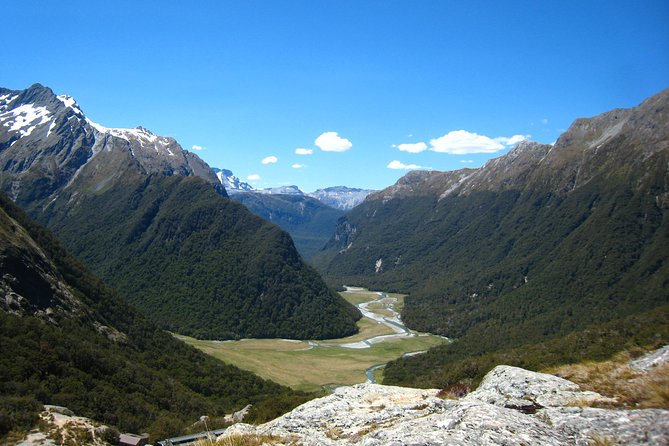 Routeburn Track Guided Hike (Full Day) - Walking beneath old beech trees and podocarps