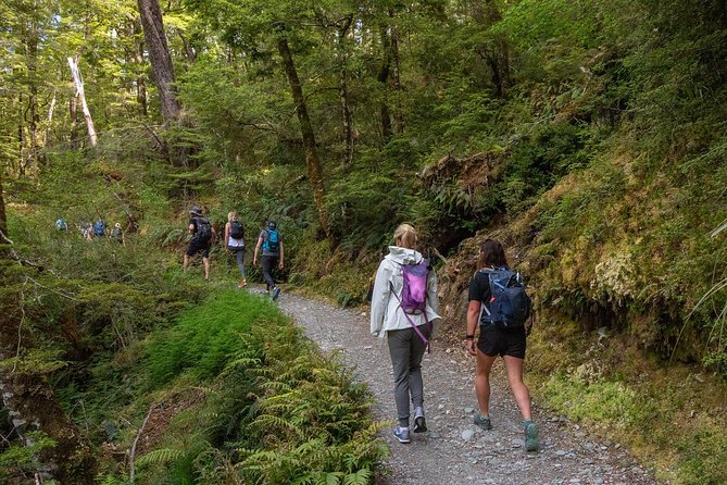 Routeburn Track Guided Walk (Half-Day) - Why this half-day Routeburn outing works