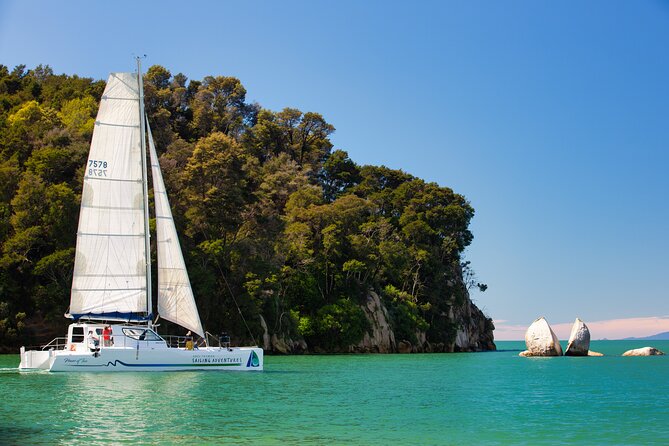 Sail, Seals, and Walk Tour in Abel Tasman - Key points to know before booking