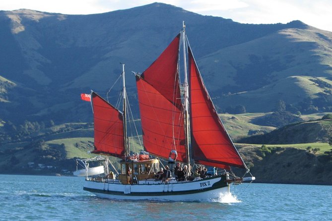 Sailing and Wildlife Tour Akaroa Fox II Sailing - Key things to know before you book