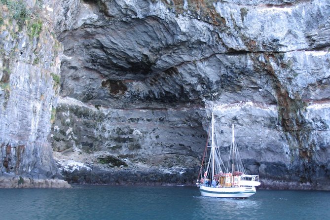 Sailing and Wildlife Tour Akaroa Fox II Sailing - Fox II, a working piece of New Zealand sailing history