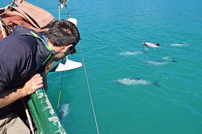 Sailing and Wildlife Tour Akaroa Fox II Sailing - What the 2-hour-45-minute timing means