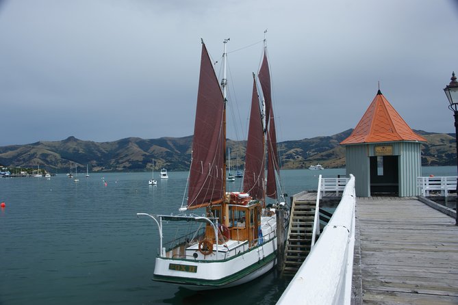 Sailing and Wildlife Tour Akaroa Fox II Sailing - Is $89.98 a good price?