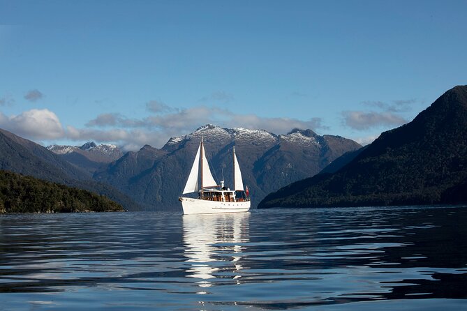Scenic Cruise & Guided walk on Historic Motor Yacht Lake Te Anau - Why This Lake Te Anau Cruise Feels Different