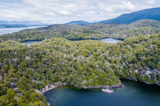 Scenic Cruise & Guided walk on Historic Motor Yacht Lake Te Anau - Who Should Book This Experience