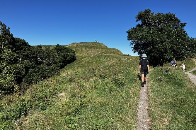 Scenic Short Hike Tour - Papamoa Hills and McLaren Falls - Why this Tauranga tour works well in half a day