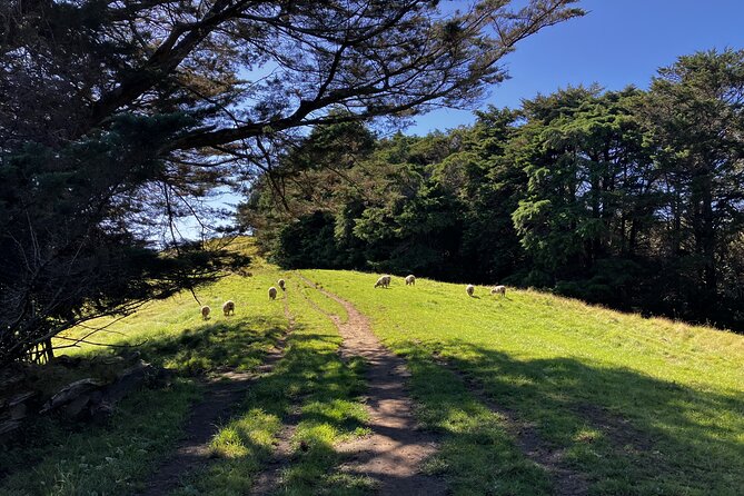 Scenic Short Hike Tour - Papamoa Hills and McLaren Falls - McLaren Falls Park and the Kaimai foothills