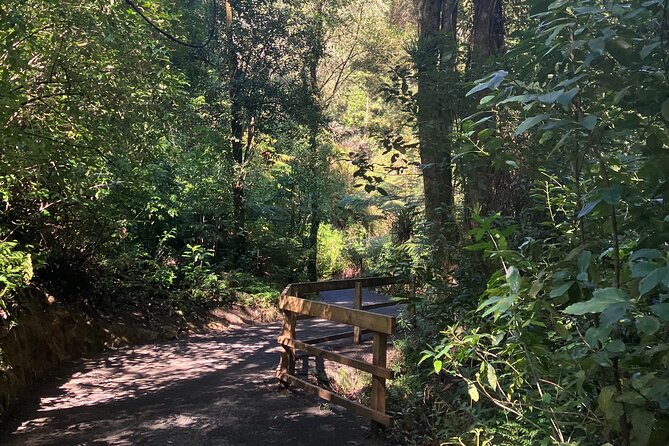 Scenic Short Hike Tour - Papamoa Hills and McLaren Falls - What the guide adds to the experience