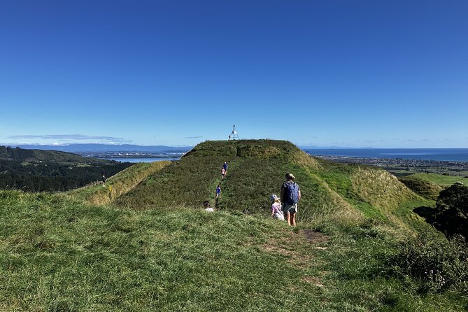 Scenic Short Hike Tour - Papamoa Hills and McLaren Falls - Is $80.05 good value?