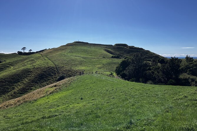 Scenic Short Hike Tour - Papamoa Hills and McLaren Falls - Fitness, weather, and what to bring