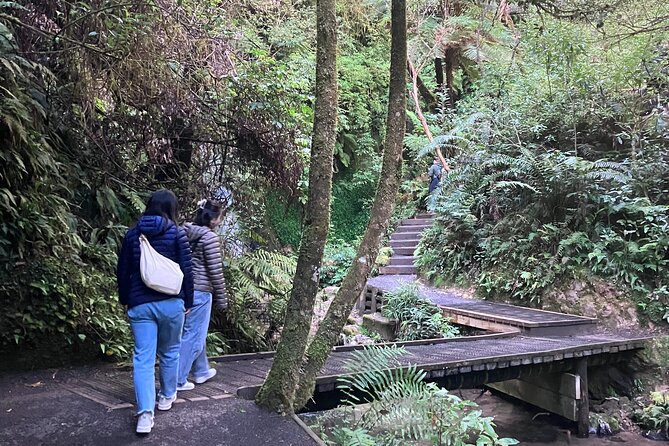 Scenic Short Hike Tour - Papamoa Hills and McLaren Falls - Who should book this outing?