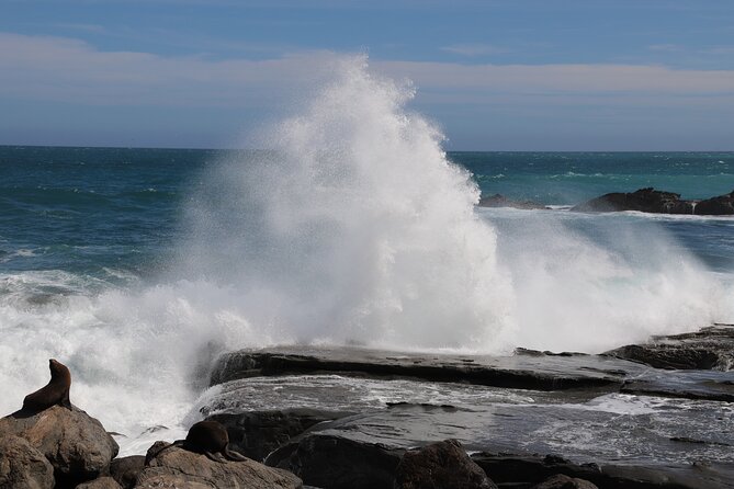 Scenic South Wairarapa Full Day Tour from Wellington - Key reasons this tour is worth considering