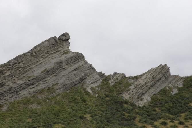 Scenic South Wairarapa Full Day Tour from Wellington - Why South Wairarapa makes a strong day trip