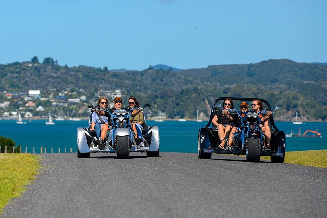 Scenic Tour - Bay of Islands, 30 mins (min2) - Waitangi lookout and the photo stop