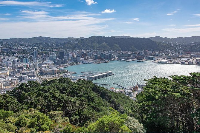Scenic Wellington Helicopter Flight - Timing, weather, and cancellation rules