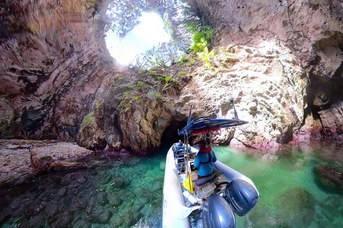 Sea Cave Adventures in the Coromandel - Key things to know before booking