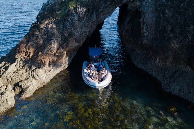 Sea Cave Adventures in the Coromandel - Seasonal wildlife and native bush along the route