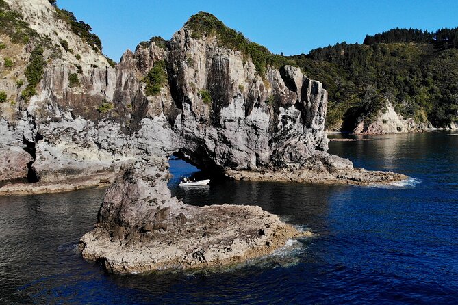 Sea Cave Adventures in the Coromandel - Is $93 good value for about two hours?
