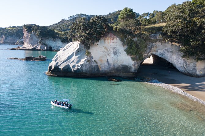 Sea Cave Adventures in the Coromandel - Weather, timing, and the practical tradeoffs