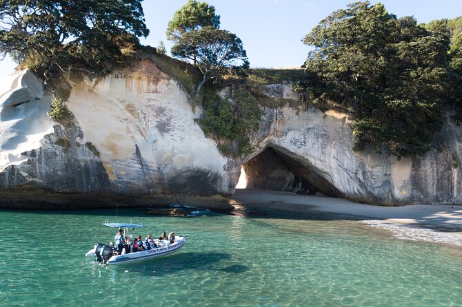 Sea Cave Adventures in Whitianga - Quick reasons to consider this boat trip