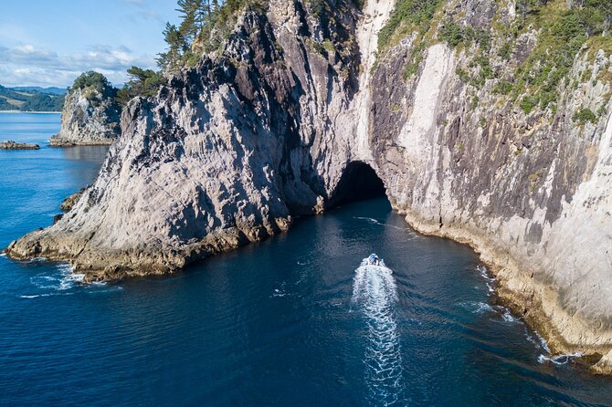 Sea Cave Adventures in Whitianga - Timing, tide, and weather