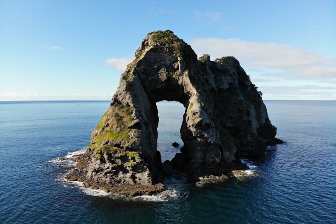 Sea Cave Adventures in Whitianga - Is $87 fair value?