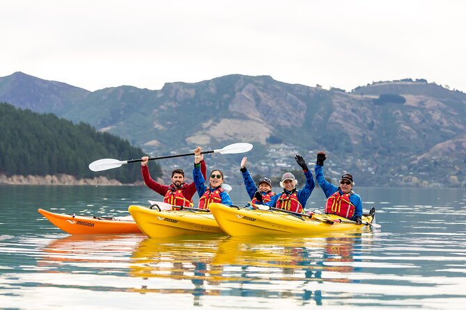 Sea Kayaking Christchurch, Lyttelton Harbour & Quail Island - Key points to know before booking