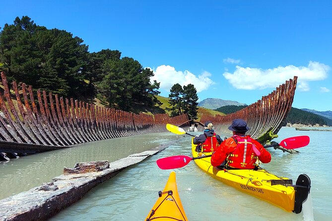 Sea Kayaking Christchurch, Lyttelton Harbour & Quail Island - Paddling toward Quail Island