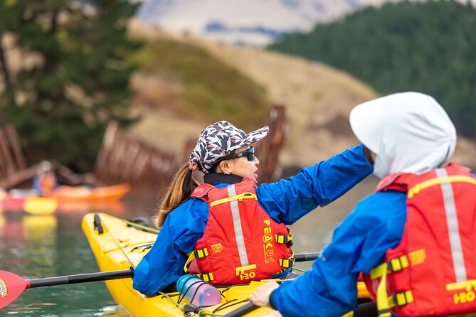 Sea Kayaking Christchurch, Lyttelton Harbour & Quail Island - A picnic lunch with tea on the beach